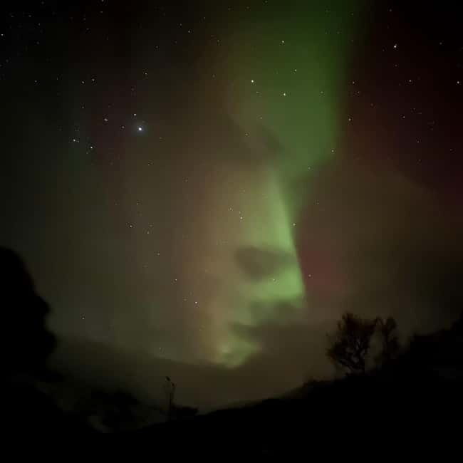 Harstad/Narvik: Northern Lights Tours with second day chance - FAQs