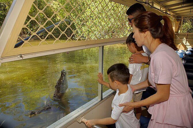 Hartley Crocodile Park with Kuranda, Skyrail Cableway and Train - A Deep Dive into the Tour Experience