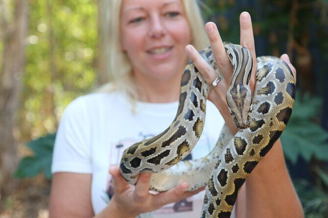 Hartley Crocodile Park with Kuranda, Skyrail Cableway and Train - FAQ