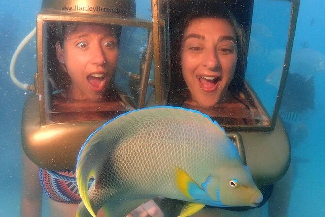 Hartley Helmet Diving in Bermuda - The Value and Considerations