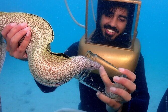 Hartley Helmet Diving in Bermuda - Who Should Consider This Tour?