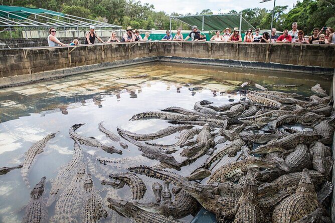Hartley's Crocodile Adventures Day Trip from Cairns - FAQ