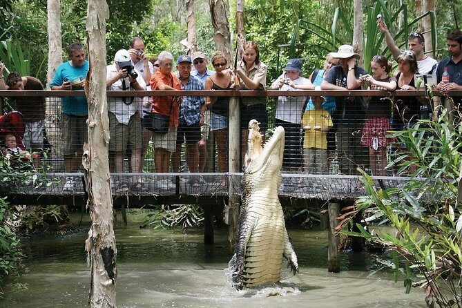 Hartleys Crocodile Adventures Half-Day Tour from Cairns - An Authentic Wildlife Encounter at Hartleys Crocodile Adventures from Cairns
