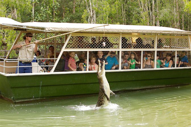 Hartleys Crocodile Adventures Half-Day Tour from Cairns - Who Should Consider This Tour?
