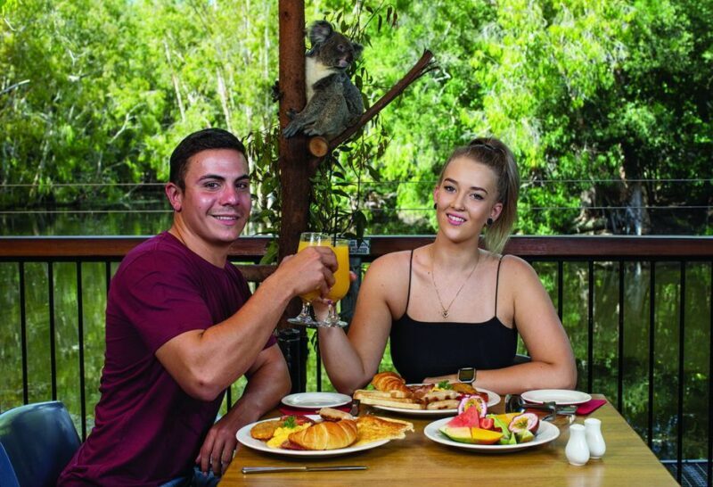 Hartley's Crocodile Adventures: Hartley's Koala Breakfast - Who Will Love This Experience?