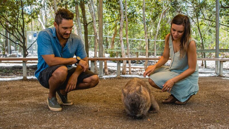 Hartley's Crocodile Adventures: Zootastic 5 + Entry Ticket - Frequently Asked Questions