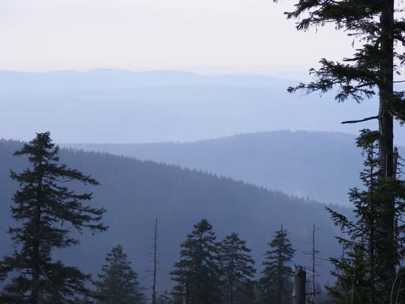 Harz Mountains Day Trip - Exploring the Harz Mountains in a Day