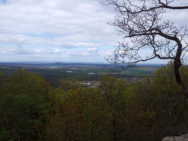 Harz Mountains Day Trip - Who Should Consider This Tour?