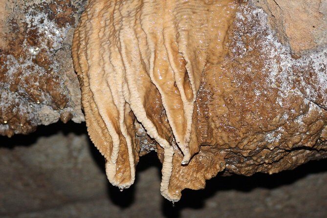 Hassle free Cave Tubing Adventure from Belize City with Lunch - Exploring Belize’s Nohoch Che’en Archaeological Reserve