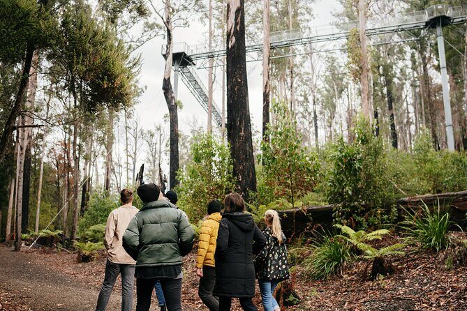 Hastings Caves, Tahune Airwalk and the Huon Tasting Trail - Hastings Caves, Tahune Airwalk, and the Huon Tasting Trail: A Deep Dive into Tasmanias Natural Wonders