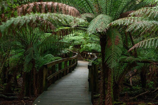 Hastings Caves, Tahune Airwalk and the Huon Tasting Trail - FAQ