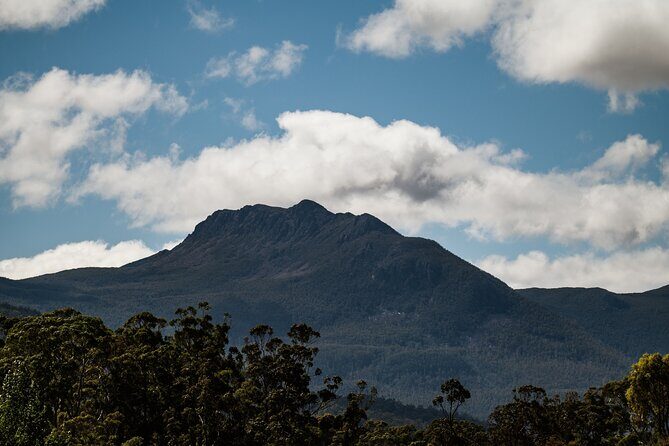 Hastings Caves, Tahune Airwalk and the Huon Tasting Trail - Final Thoughts