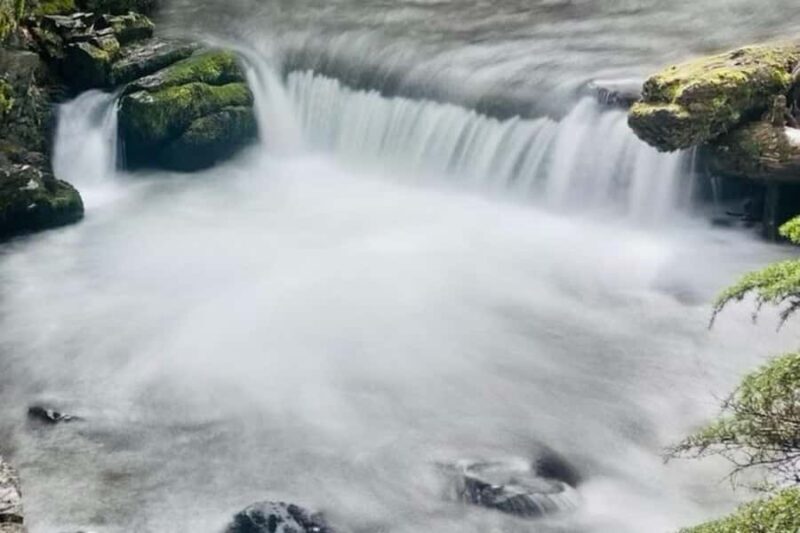 Hatcher Pass & Reindeer Adventure Tour  Anchorage Pickup - Key Points