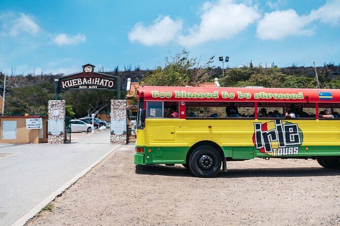 Hato Caves, Turtles & Beach - A Deep Dive into the Experience