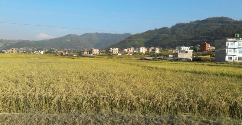 Hattiban - Champadevi: Day Hiking Tour - Why This Tour Is Worth It