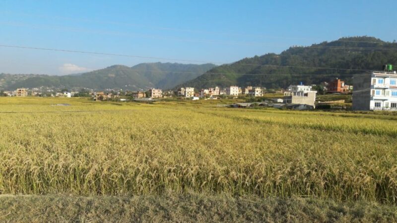 Hattiban - Champadevi: Day Hiking Tour - Practical Tips for Your Hike