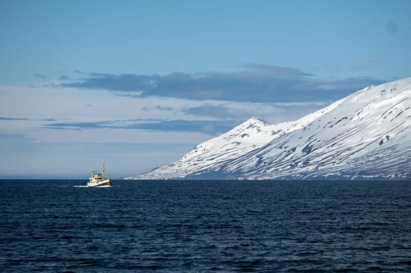 Hauganes: Whale Watching North Iceland - Authenticity and Customer Feedback