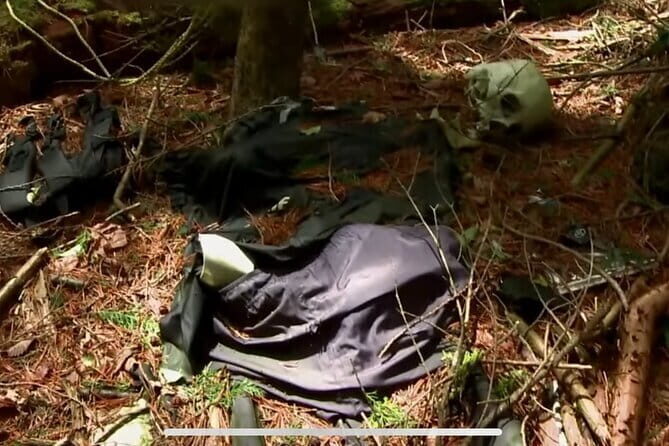 Haunted Hospital for Bravest Ghost Hunters & Forest of Silence - A Deep Dive into Tokyo’s Haunted and Natural Wonders