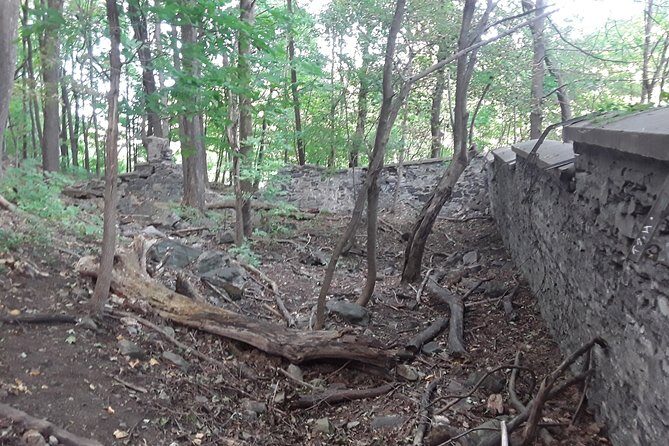 Haunted Mountain - The Spooky Side of Mount Royal: An In-Depth Review