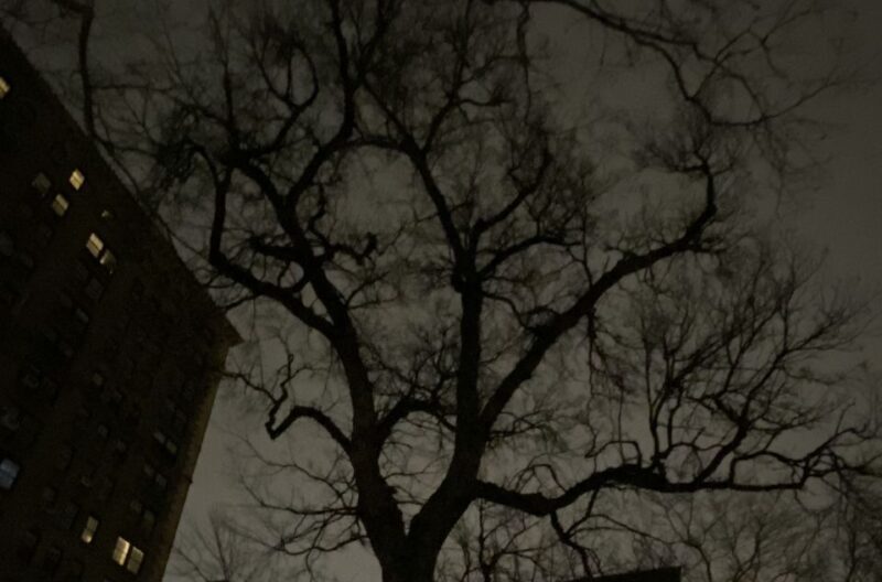 Haunted Village of New York City walking tour - Haunted Village of New York City Walking Tour: A Spooky Stroll Through Greenwich Village