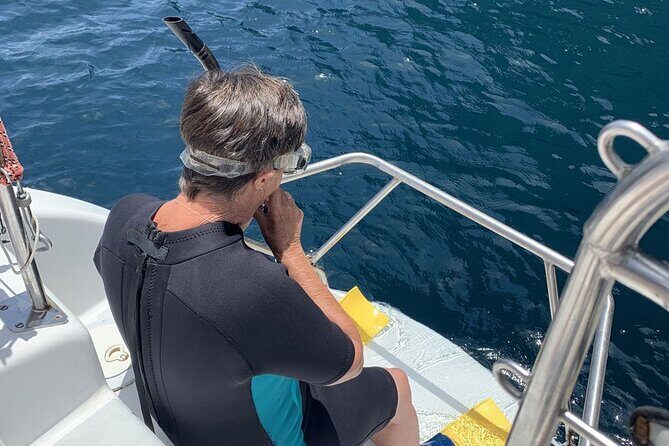 Hauraki Gulf Eco Sailing Adventure - An In-Depth Look at the Hauraki Gulf Eco Sailing Adventure