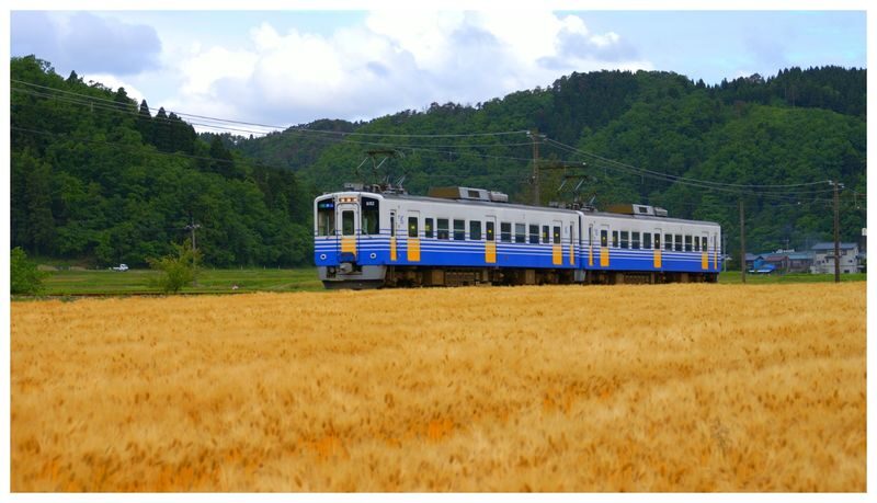 Have Fun in Fukui Pass - The Dinosaur Museum is the natural centerpiece