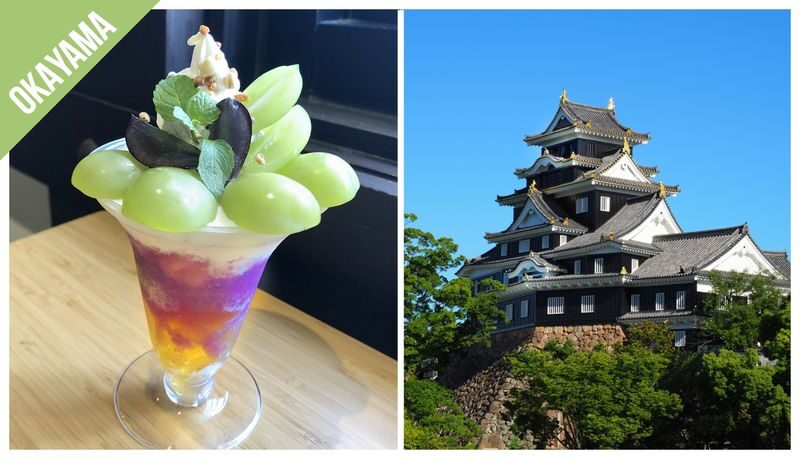 Have Fun in Japan Pass (with options: Okinawas DMM Aquarium and Kuyshus Kokura Castle) - Okinawa: choose the aquarium that matches your plans