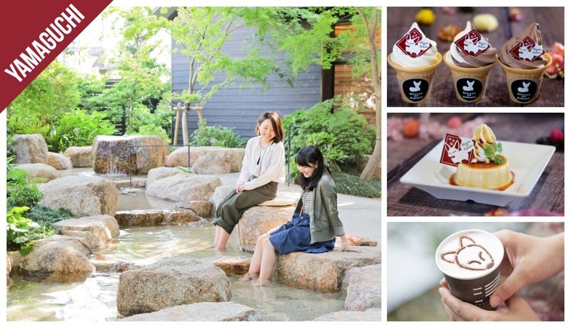 Have Fun in Japan Pass (with options: Okinawas DMM Aquarium and Kuyshus Kokura Castle) - Does the price make sense?