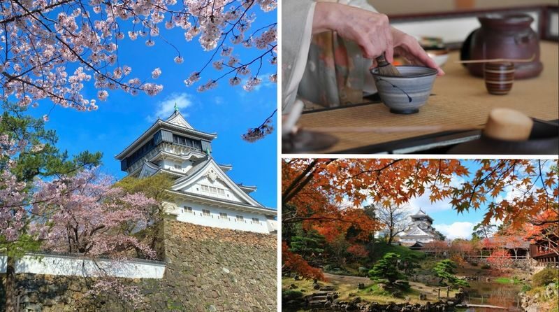 Have Fun in Kitakyushu City & Shimonoseki City Pass - Sarakurayama brings the big view