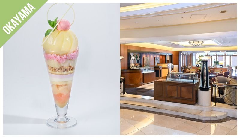 Have Fun in Okayama Pass - Transit and other activities broaden the map