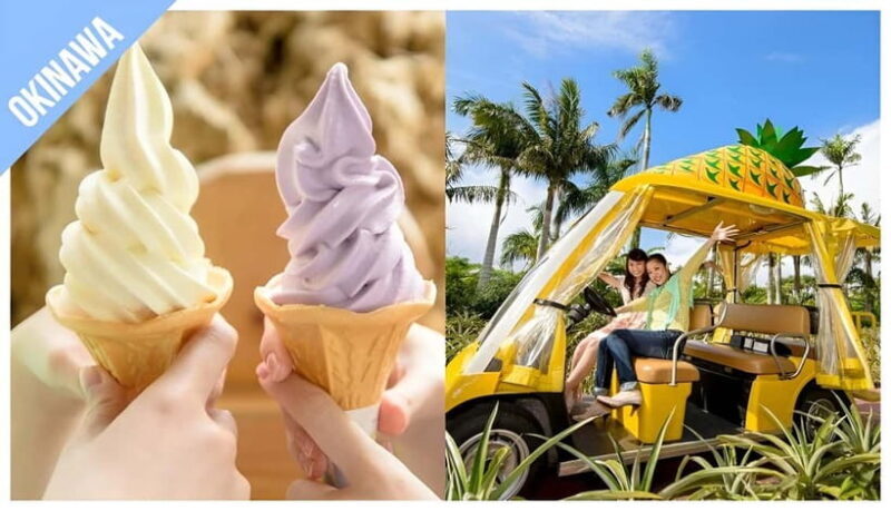 Have Fun in OKINAWA Pass (1 Week Free Pass) - Discover Okinawa through the "Have Fun in Okinawa Pass"