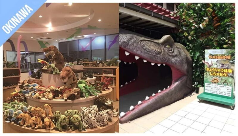 Have Fun in OKINAWA Pass (1 Week Free Pass) - Authentic Experiences and Authentic Value