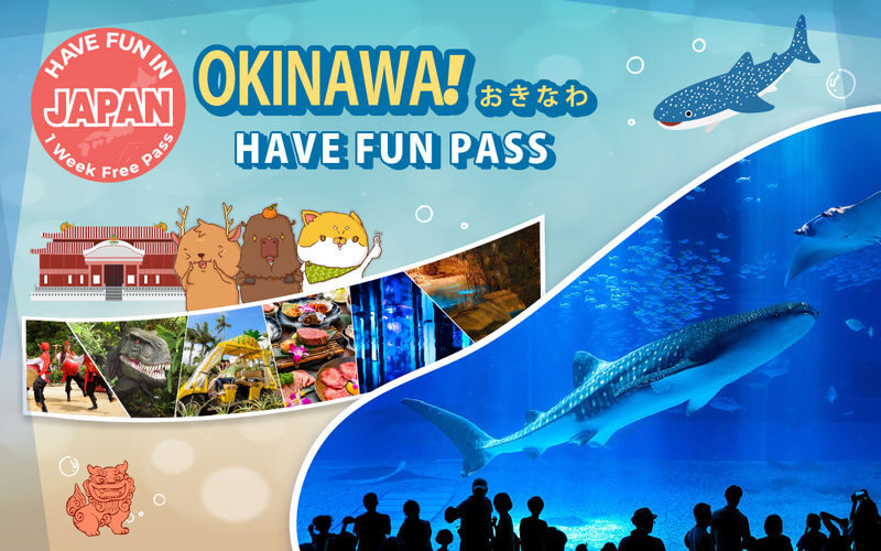 Have Fun in Okinawa Pass (with options: Churaumi Aquarium and DMM Aquarium) - A pass, not a guided tour