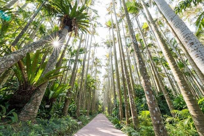Have Fun in Okinawa Pass (with options: Churaumi Aquarium and DMM Aquarium) - The value depends on what you actually use