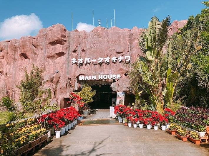 Have Fun in Okinawa Pass (with options: Churaumi Aquarium and DMM Aquarium) - Who will get the most from this pass?