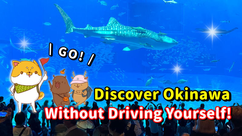 Have Fun in Okinawa Premium Pass (Day tour, Churami Aquarium and DMM Aquarium) - Key points before you book