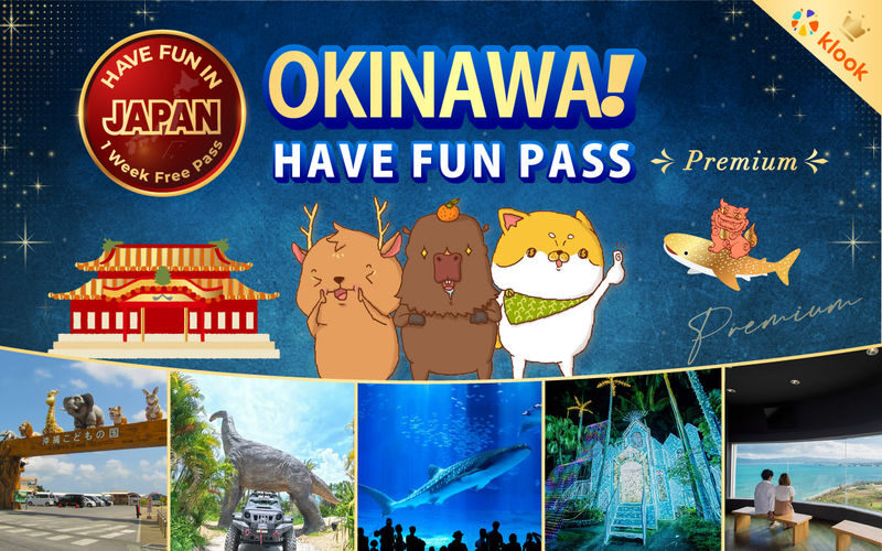Have Fun in Okinawa Premium Pass (Day tour, Churami Aquarium and DMM Aquarium) - A pass, not a set Okinawa tour