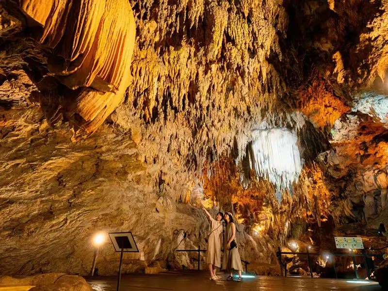 Have Fun in Okinawa Premium Pass (Day tour, Churami Aquarium and DMM Aquarium) - Make the day tours fit your route