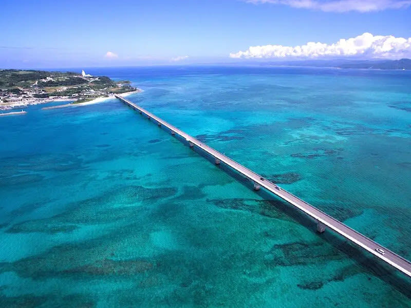 Have Fun in Okinawa Premium Pass (Day tour, Churami Aquarium and DMM Aquarium) - Use the other pass options to round out the week