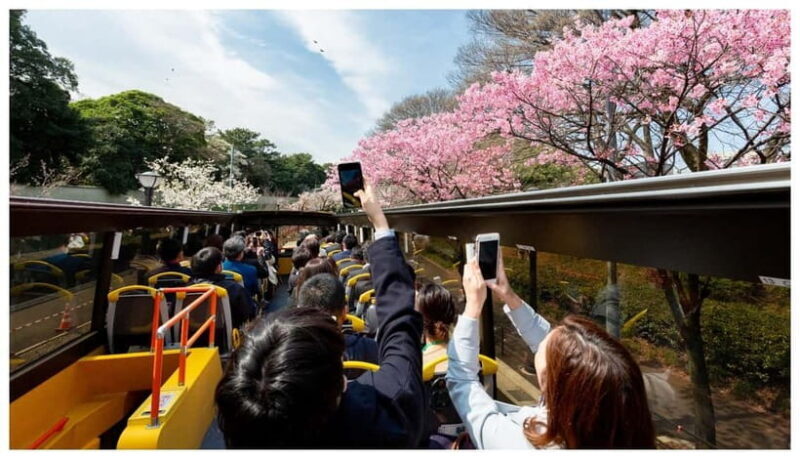 Have Fun in TOKYO Pass (1 Week Free Pass) - In-Depth Look at Key Attractions