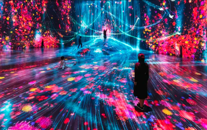 Have Fun in Tokyo Pass (with options: Warner Brothers and teamLab Planets Tokyo) - Digital redemption, with a few details to watch