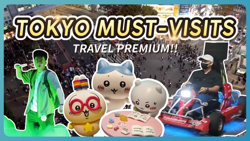Have Fun in Tokyo Premium Pass (with options: Warner Brothers and teamLab Planets Tokyo) - Key points to know before you choose