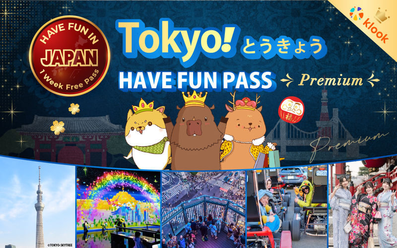 Have Fun in Tokyo Premium Pass (with options: Warner Brothers and teamLab Planets Tokyo) - A pass, not a guided tour