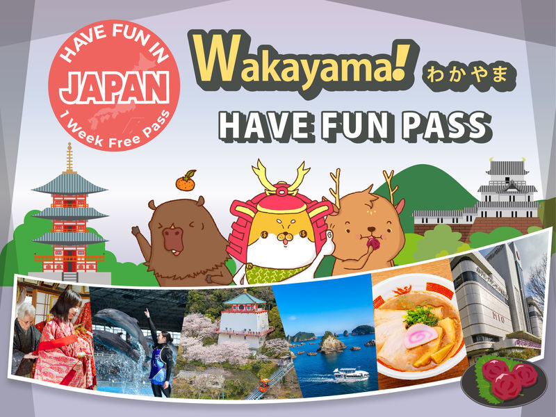 Have Fun in Wakayama Pass - What to know before you book