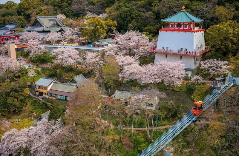 Have Fun in Wakayama Pass - Three choices, not an all-access pass