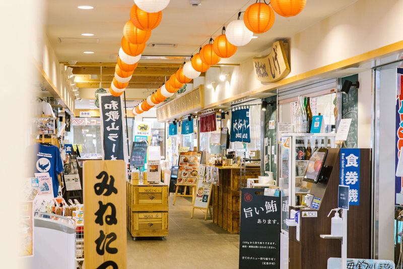 Have Fun in Wakayama Pass - A whale museum, a boat ride and the Kii coast