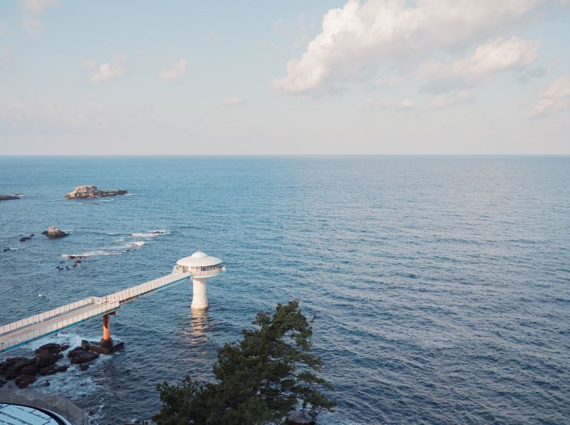 Have Fun in Wakayama Pass - Who should book it?