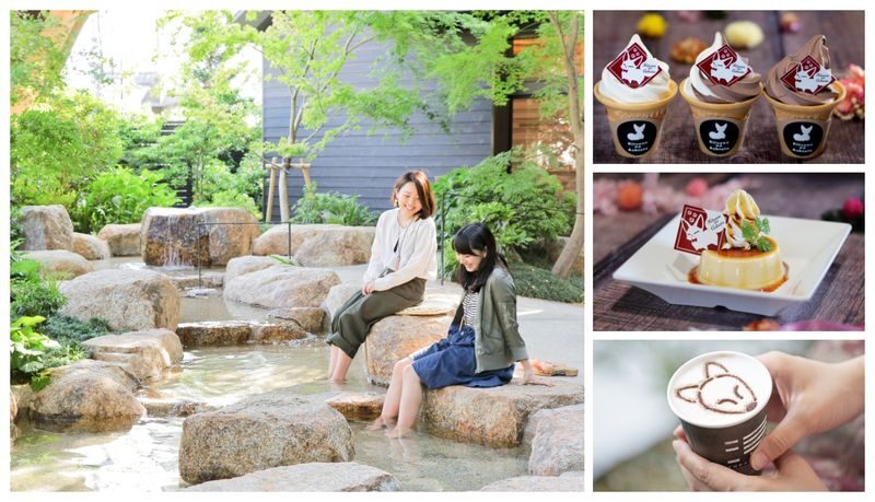 Have Fun in Yamaguchi Pass - Does the pass save you money?