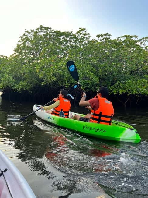 Havelock: Bioluminescence and Mangrove Kayaking Tour - Exploring Havelock’s Kayaking Tour: A Deep Dive