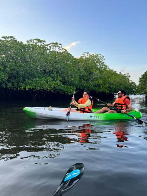 Havelock: Bioluminescence and Mangrove Kayaking Tour - Final Thoughts: Who Should Consider This Experience?